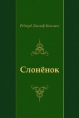 книга Slonyonok (in Russian Language)