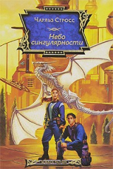книга Небо сингулярности
