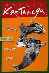 книга Второе кольцо силы