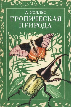 Книга Тропическая природа на ReadRate.com книга Тропическая природа