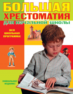 книга Каша из топора