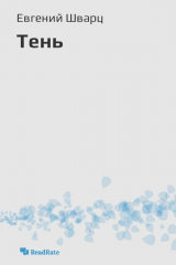 книга Тень