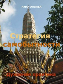 Книга Стратегия самобытности: духовная практика на ReadRate.com книга Стратегия самобытности: духовная практика