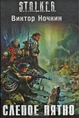 книга Слепое пятно