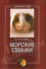 книга Морские свинки