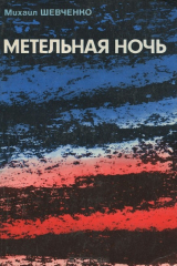 книга Метельная ночь