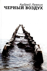 книга Черный воздух
