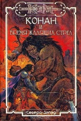 книга Конан и Время Жалящих Стрел