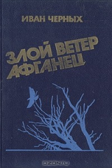 книга Злой ветер афганец