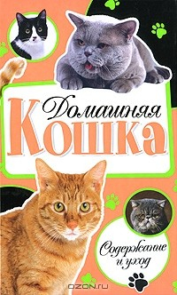 Книга Домашняя кошка. Содержание и уход на ReadRate.com книга Домашняя кошка. Содержание и уход