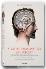 книга Atlas of Human Anatomy and Surgery in English - French - German: Atlas d'Anatomie Humaine et de Chirugie en Anglais - Francais - Allemand