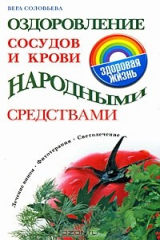 книга Оздоровление сосудов и крови народными средствами