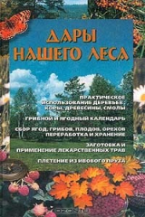 книга Дары нашего леса