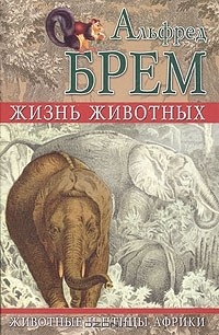 Книга Жизнь животных. Животные и птицы Африки на ReadRate.com книга Жизнь животных. Животные и птицы Африки