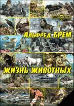 Книга Жизнь животных. Т. 2. Птицы на ReadRate.com книга Жизнь животных. Т. 2. Птицы