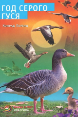 книга Год серого гуся