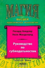 книга Руководство по субмодальностям
