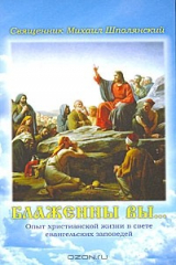 книга Блаженны вы...