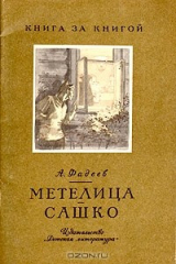 книга Метелица. Сашко