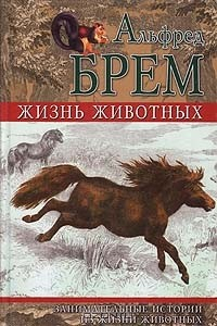 Книга Жизнь животных. Занимательные истории из жизни животных на ReadRate.com книга Жизнь животных. Занимательные истории из жизни животных