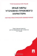 книга Иные меры уголовно-правового характера. Научно-практический комментарий