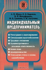 книга Индивидуальный предприниматель