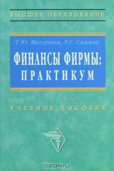 книга Финансы фирмы. Практикум