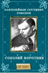 книга Соболий воротник