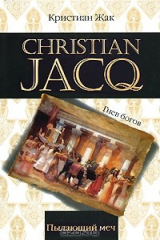 книга Пылающий меч