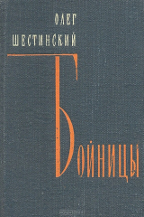 книга Бойницы