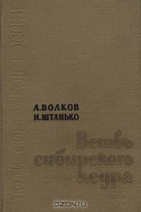 книга Ветвь сибирского кедра