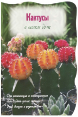 книга Кактусы в вашем доме