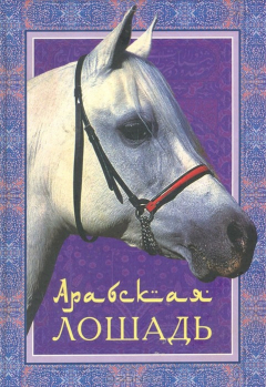 Книга Арабская лошадь на ReadRate.com книга Арабская лошадь