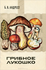 книга Грибное лукошко