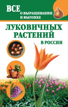 Книга Все о выращивании и выгонке луковичных растений в России на ReadRate.com книга Все о выращивании и выгонке луковичных растений в России