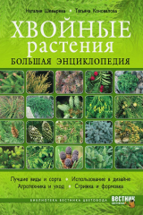 книга Хвойные растения. Большая энциклопедия