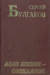 книга Дело жизни - созидание
