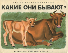 Книга Какие они бывают? Альбом для раскрашивания на ReadRate.com книга Какие они бывают? Альбом для раскрашивания