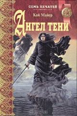 книга Ангел тени