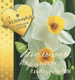 Книга Тюльпаны, нарциссы, гиацинты на ReadRate.com книга Тюльпаны, нарциссы, гиацинты