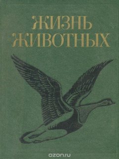 Книга Жизнь животных в 7 томах. Том 6. Птицы на ReadRate.com книга Жизнь животных в 7 томах. Том 6. Птицы