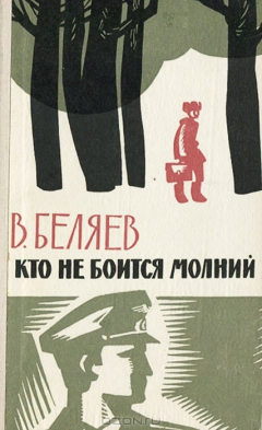 Книга Кто не боится молний на ReadRate.com книга Кто не боится молний