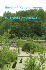 книга Кабанье урочище