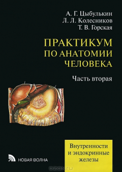 Книга Практикум по анатомии человека: Учебное пособие. Внутренности и эндокринные железы. В 4 ч. Ч. 2. Цыбулькин А.Г., Колесников Л.Л., Горская Т.В. на ReadRate.com книга Практикум по анатомии человека: Учебное пособие. Внутренности и эндокринные железы. В 4 ч. Ч. 2. Цыбулькин А.Г., Колесников Л.Л., Горская Т.В.