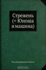 книга Стрежень (= Юноша и машина)