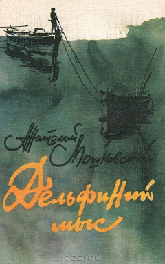 книга Дельфиний мыс