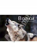 книга Волки. Хищные и свободные