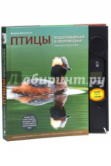 книга Птицы. Водоплавающие и околоводные. Звуковая энциклопедия (утка)