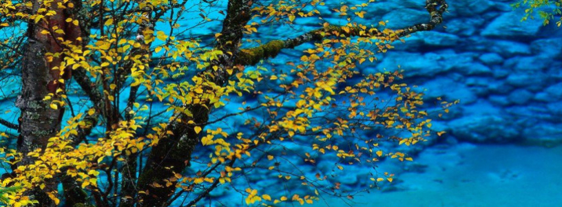 Хочу прочитать №1