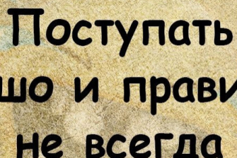 Моя Коллекция